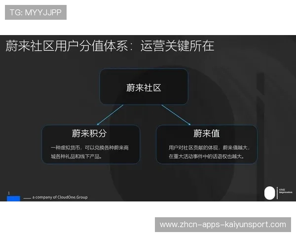 电竞平台观众积分制度对用户黏性提升作用,电竞积分获取